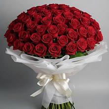 Букет 101 Красная роза Блэк Мэджик #REPLACE_PRED# Сретенске