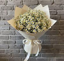 Букет цветов из:  Ромашки #REPLACE_PRED# Сретенске