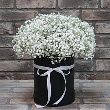 Цветочная композиция из Гипсофила в шляпной коробке #REPLACE_PRED# Сретенске