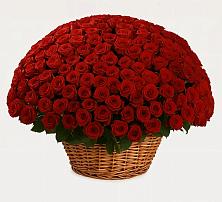 Премиум букет из: Розы в Сретенске