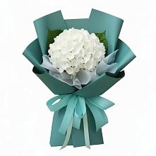 Букет цветов из:  Гортензия в Сретенске